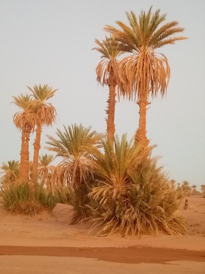 Sahara Peace Camp Hotel Zagora Exterior photo