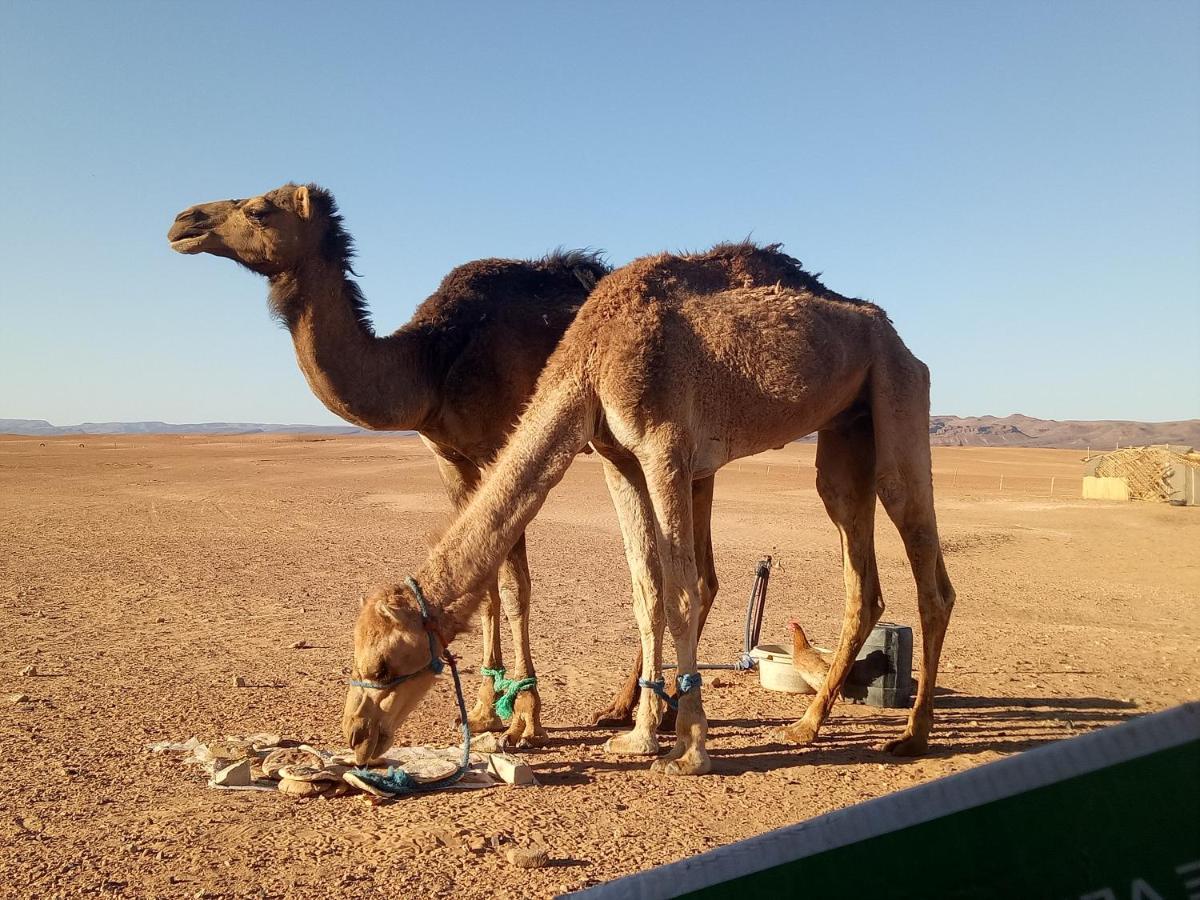 Sahara Peace Camp Hotel Zagora Exterior photo